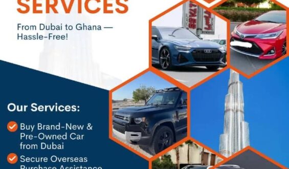 All insight into Akaribo Car Sales and Shipping services